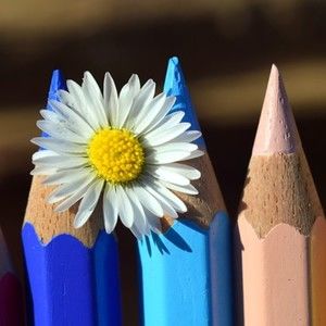 Meet your Posher, Richard